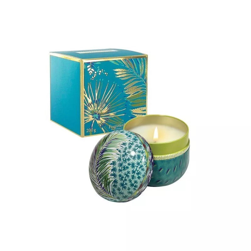Coriandre Lemongrass Candle