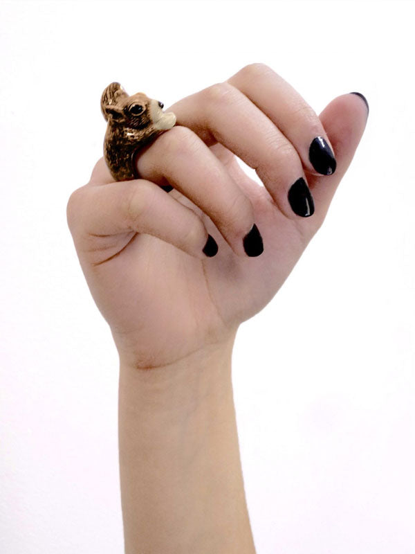 Squirrel Ring