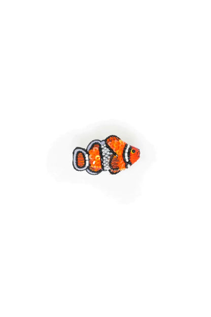 Clownfish Brooch